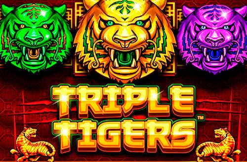 Triple Tigers